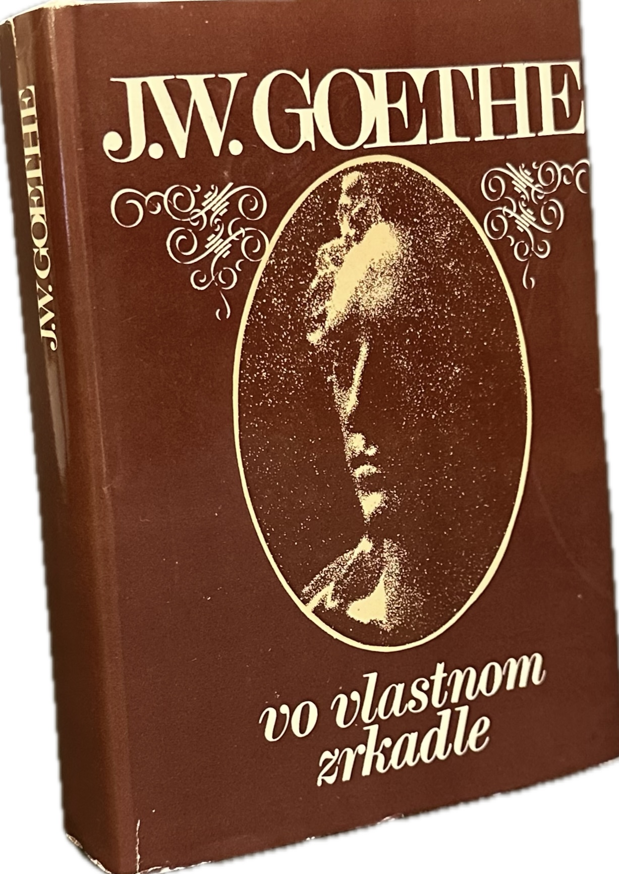 Vo vlastnom zrkadle