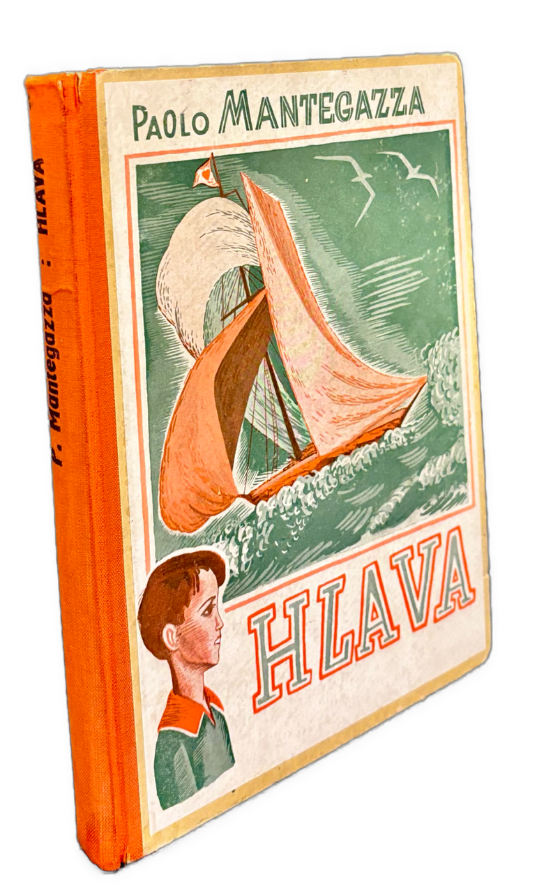 Hlava IMG 8930