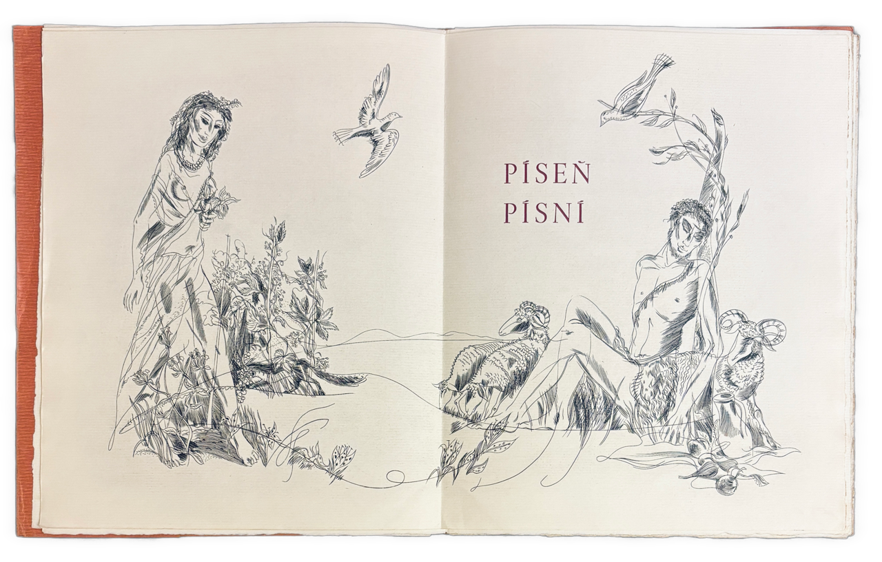 Píseň písní, píseň nejpřednejší - PODPIS ILUSTRÁTORA IMG 9916