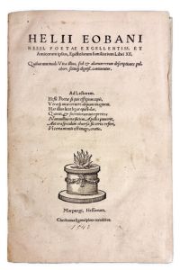 IMG 0708