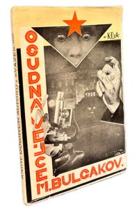 IMG 6502