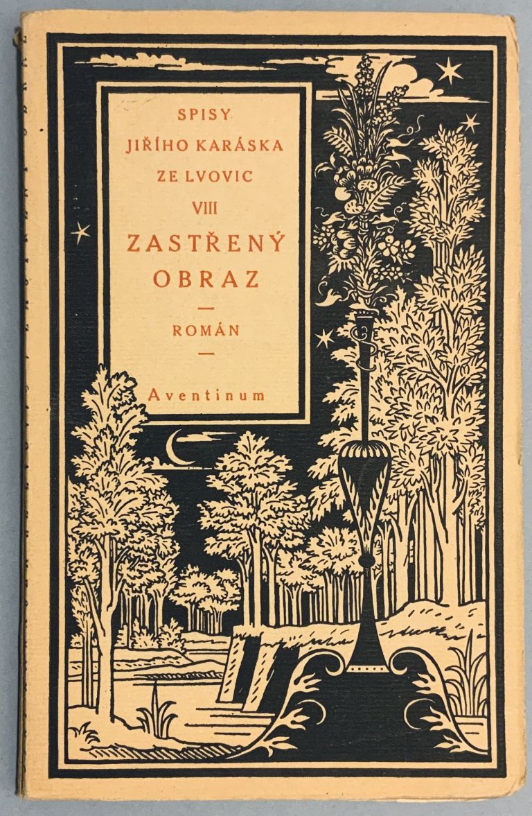 Zastřený obraz. Román 2C8ABE34 2460 4BCE BCE3 22EC26C297BE