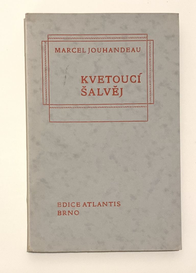 Kvetoucí šalvěj 89698114 1DB3 4247 B498 081DE784161D
