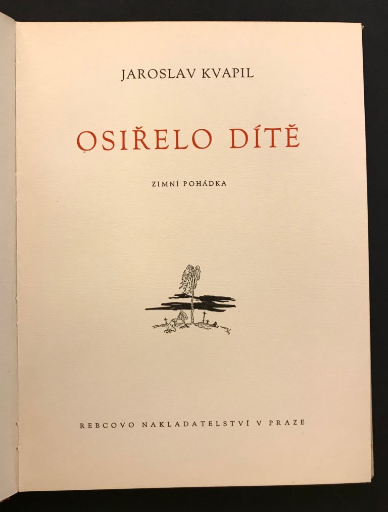Osiřelo dítě. Zimní pohádka IMG 2481