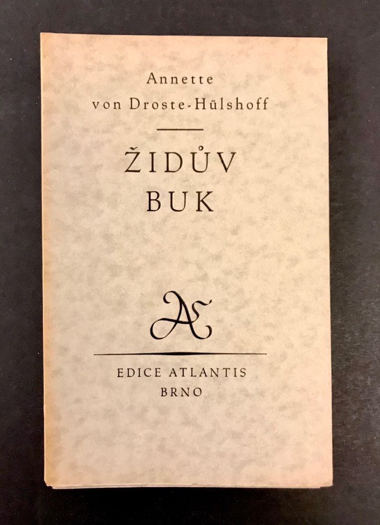 Židův buk  IMG 2631