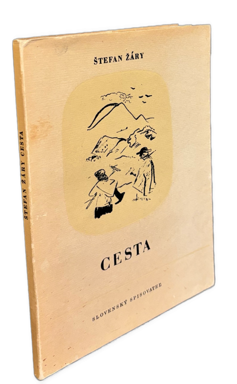 Cesta  IMG 7888