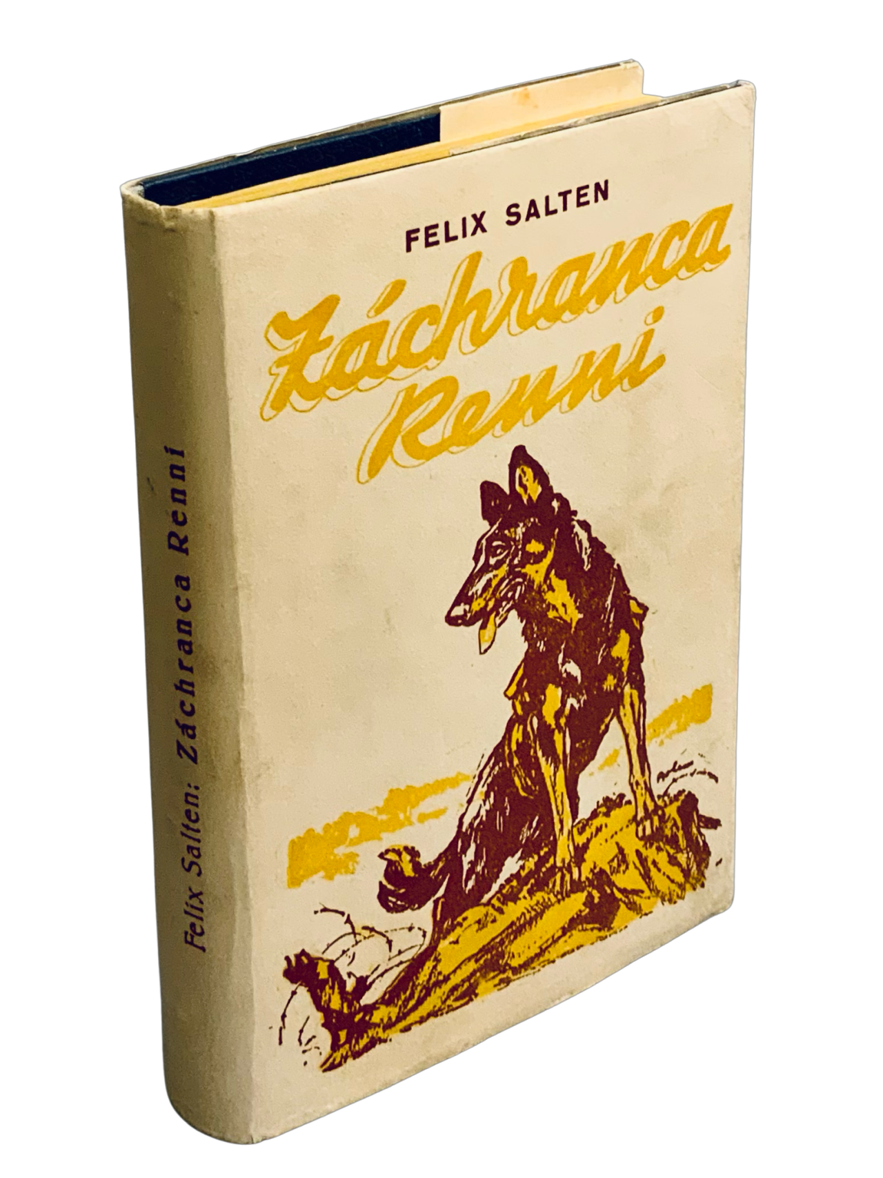 Záchranca Renni. Život vojenského psa 1C50C105 234C 47D9 B894 D44082EEB501