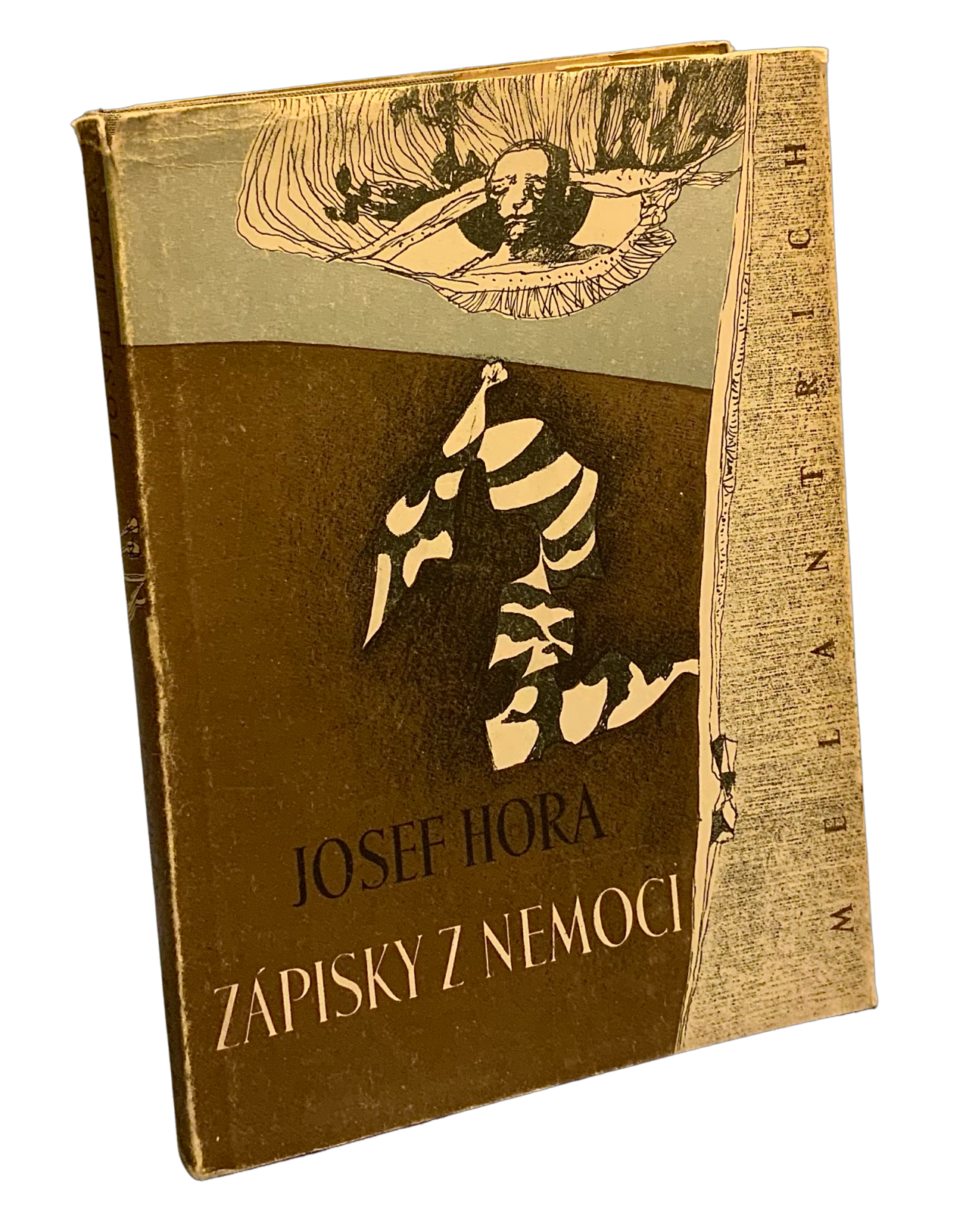 Zápisky z nemoci 2BF031FD 58FA 4E16 B062 F381BA795EE4