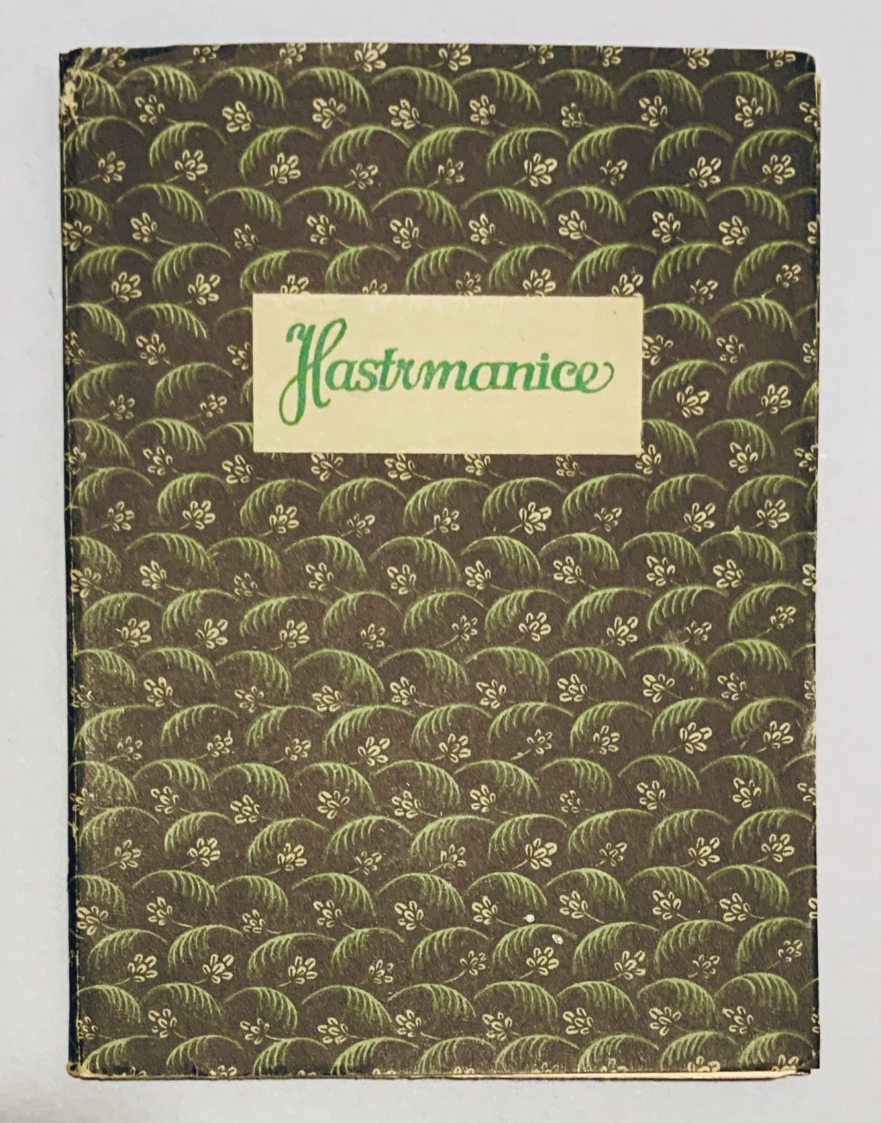 Hastrmanice. Karlínska balada 3D071F98 090F 4D2F A2F2 657259C9C43D2