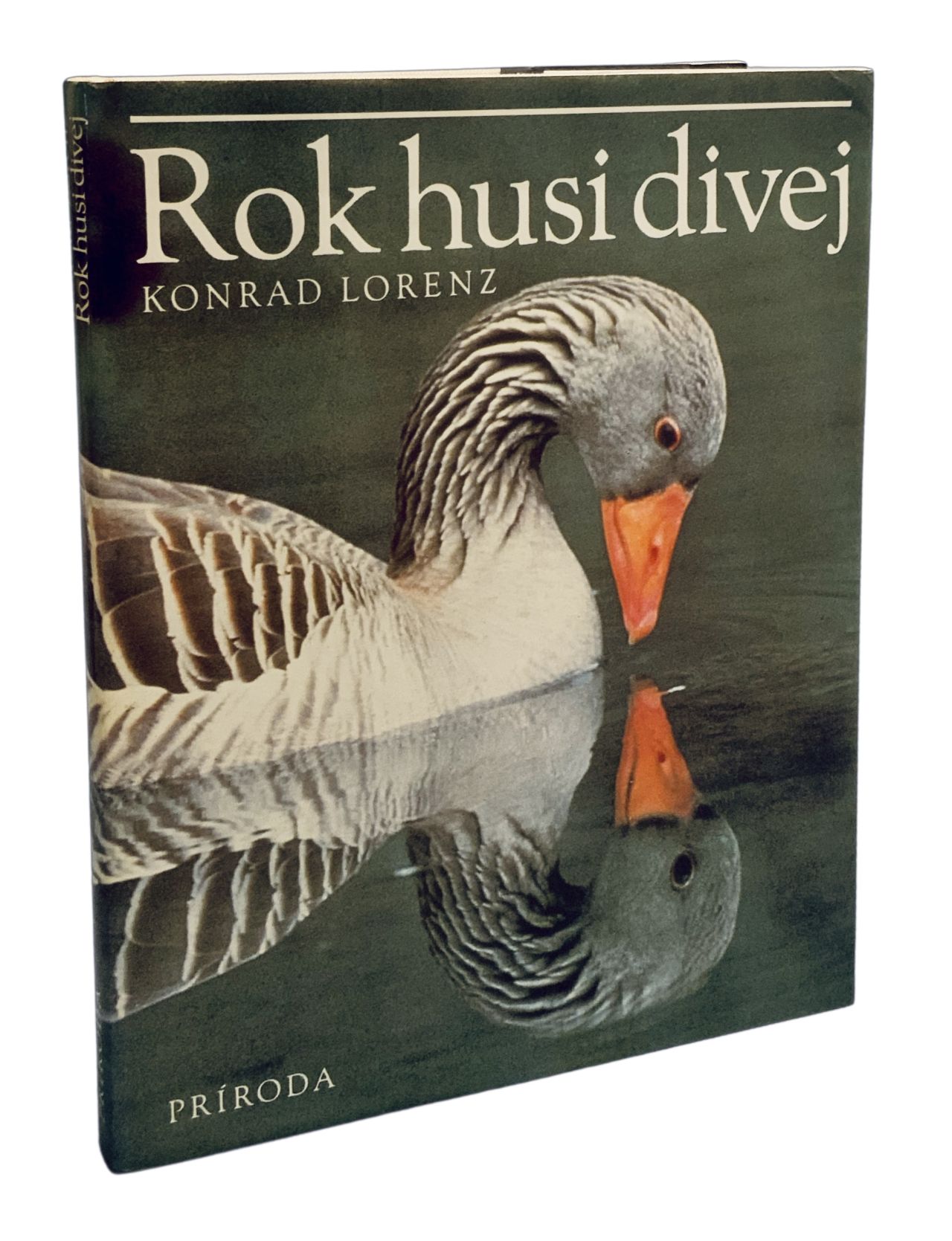Rok husi divej 3D9CAB2C B73D 44FF B771 AD5205B1E889