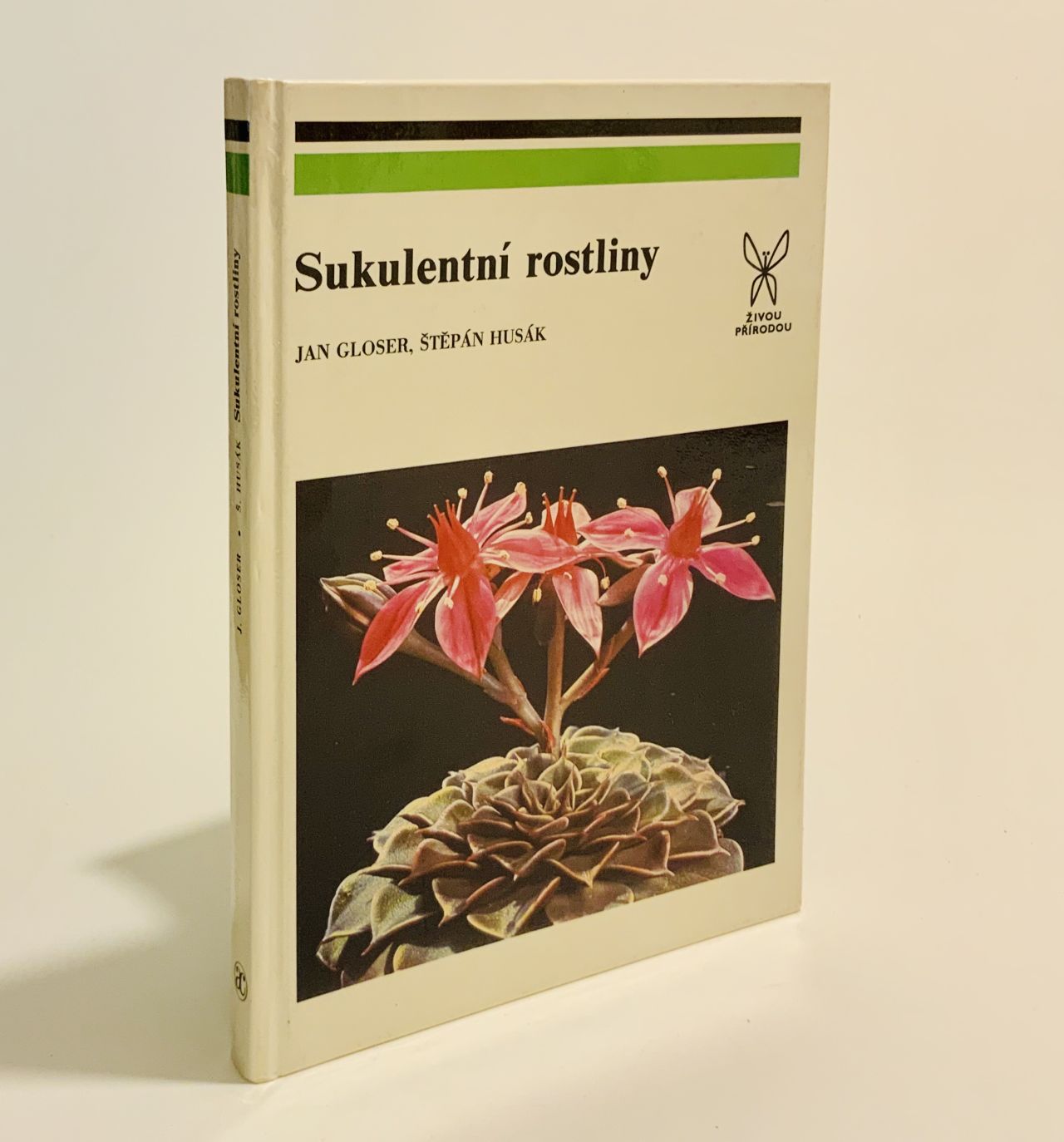 Sukuletní rostliny 6061286B C0C4 4B97 87E5 8F145706BE97
