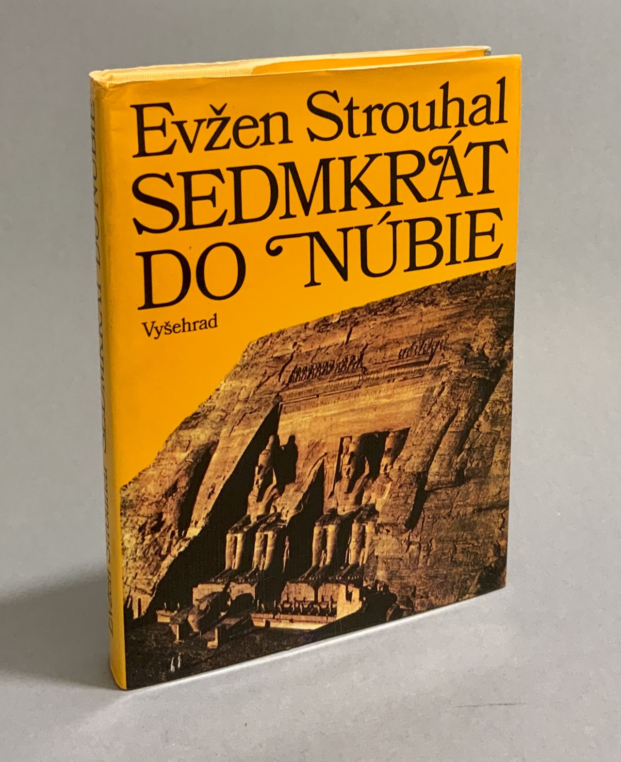 Sedmkrát do Núbie C9527B4B 9FC1 4928 994E 012BDF0902E6