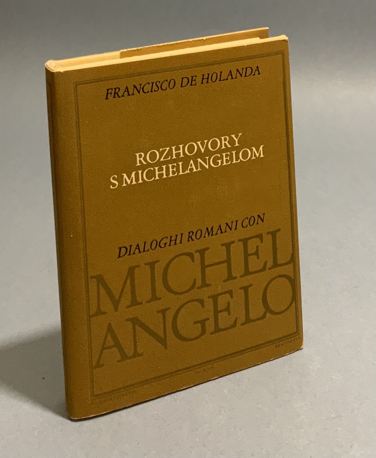 Rozhovory s Michelangelom D2473EB7 3729 484B AB06 DBB2957585F5