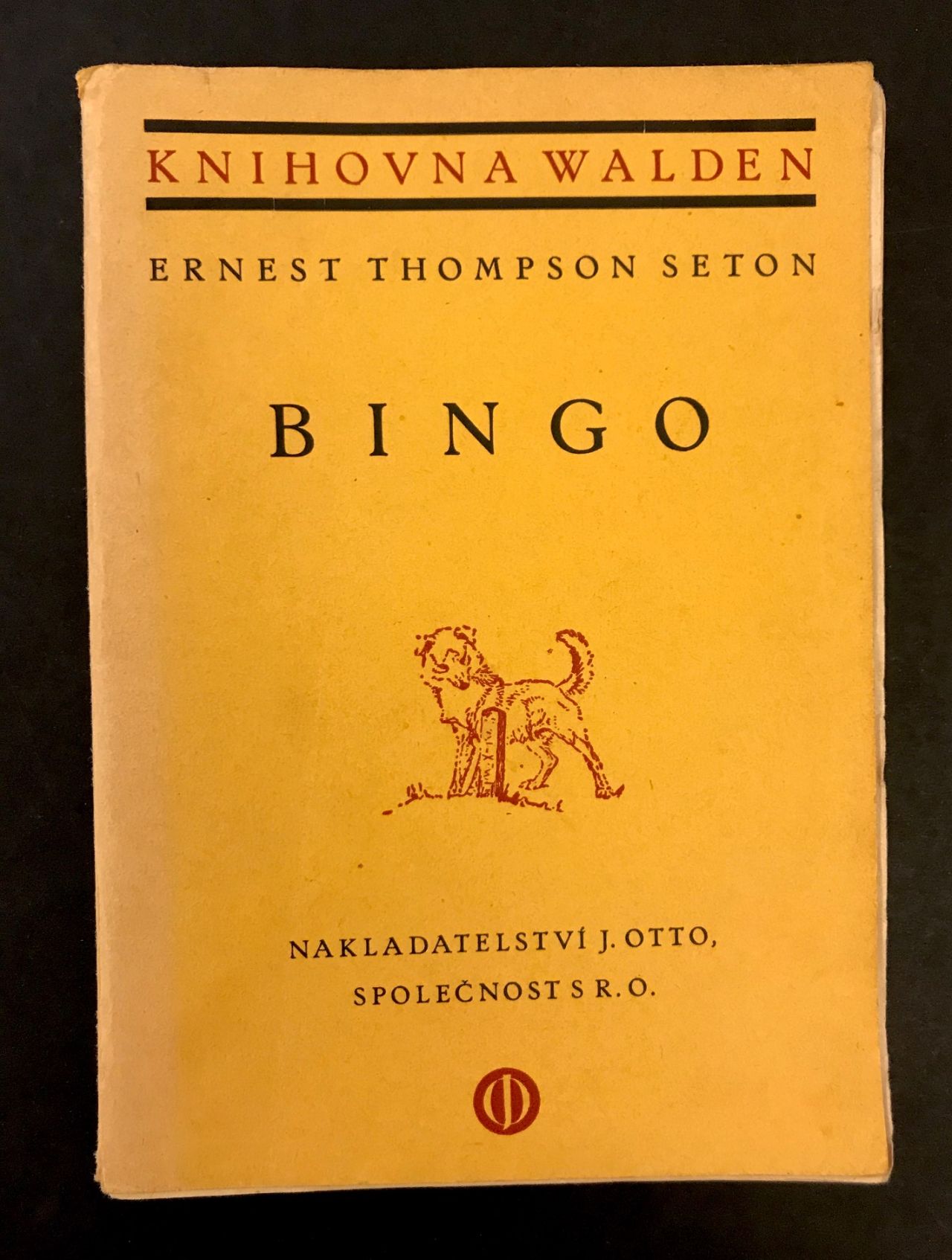 Bingo. (Zvieracie poviedky) IMG 1267