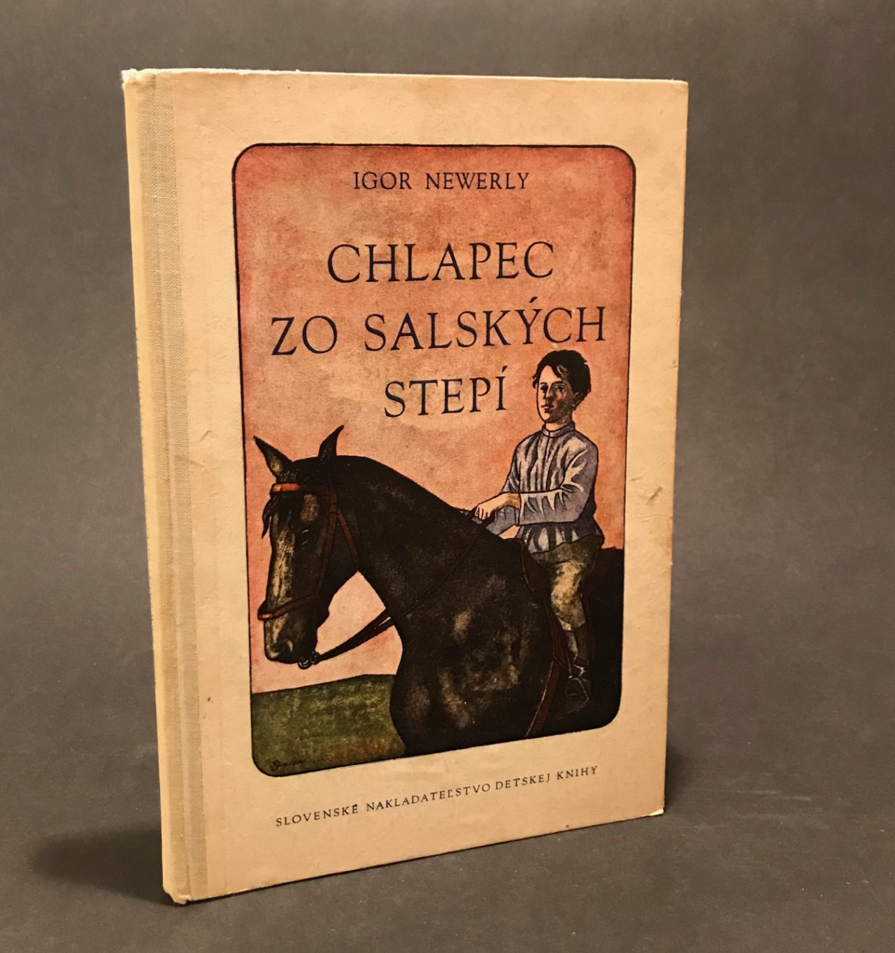 Chlapec zo Salských stepí IMG 1647