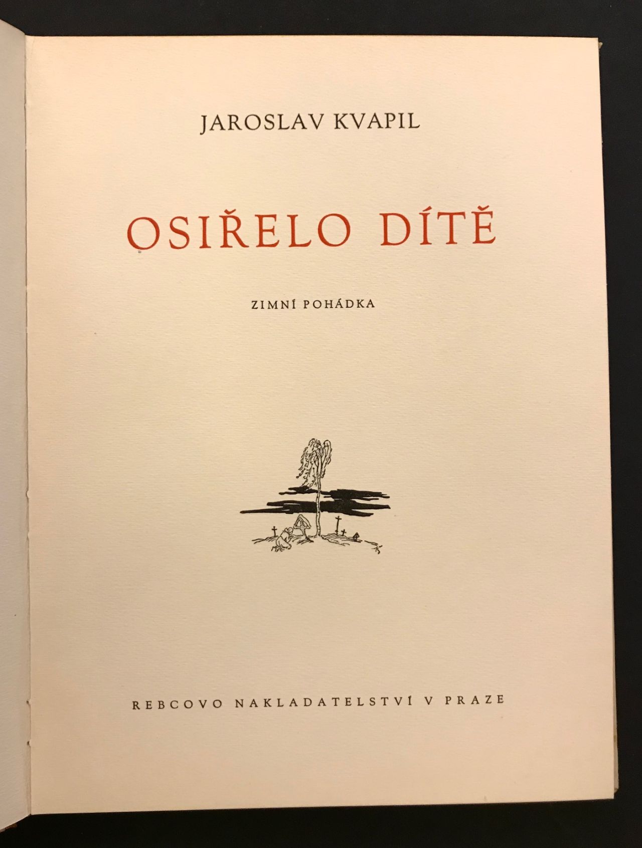Osiřelo dítě. Zimní pohádka IMG 2481