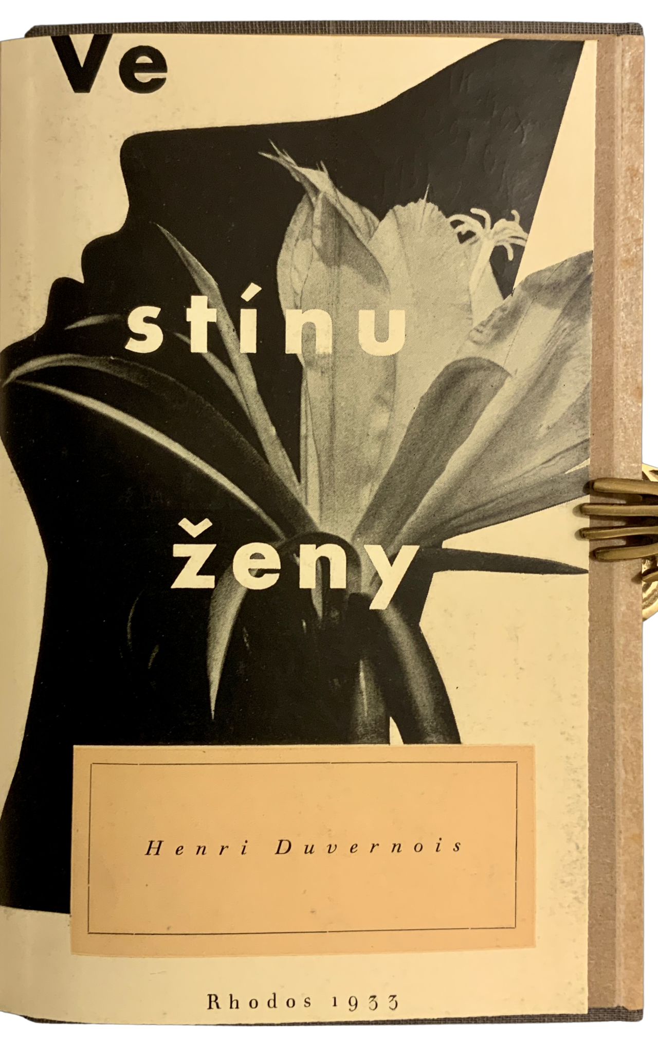 Ve stínu ženy. Román IMG 3030