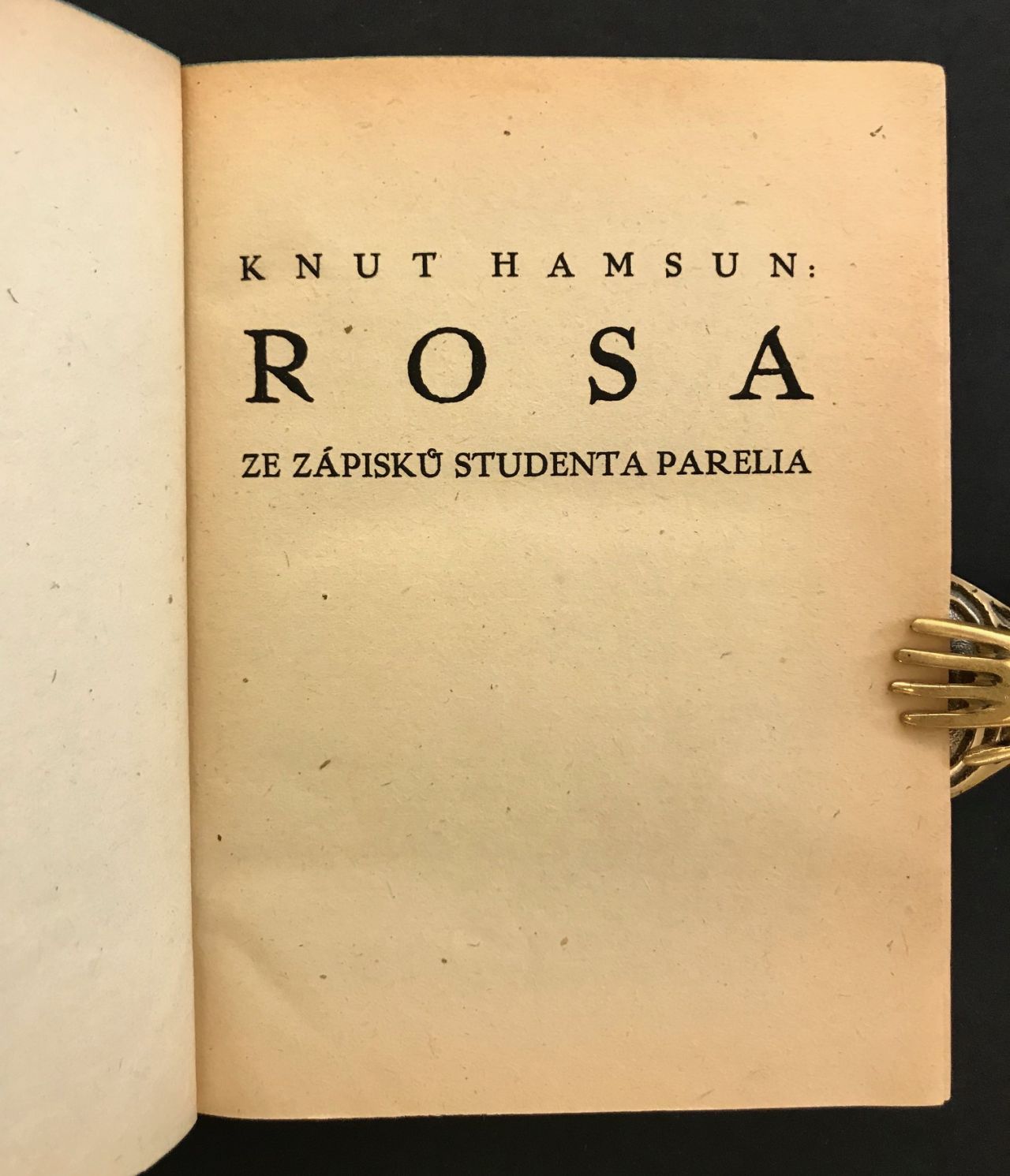 Rosa. Ze zapisků studneta Parelia IMG 4101