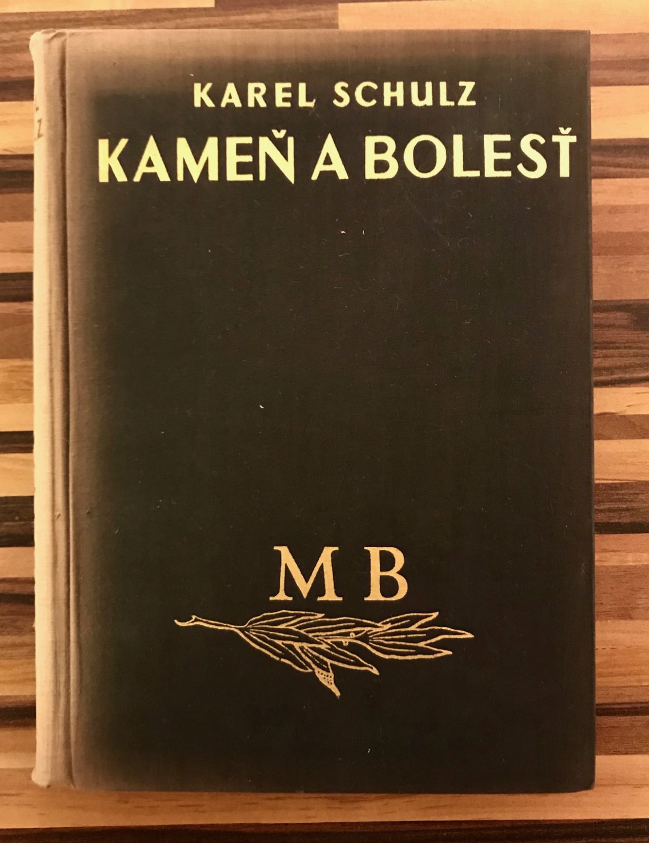 Kameň a bolesť. Román o Michelangelovi Buonarrotim IMG 5424