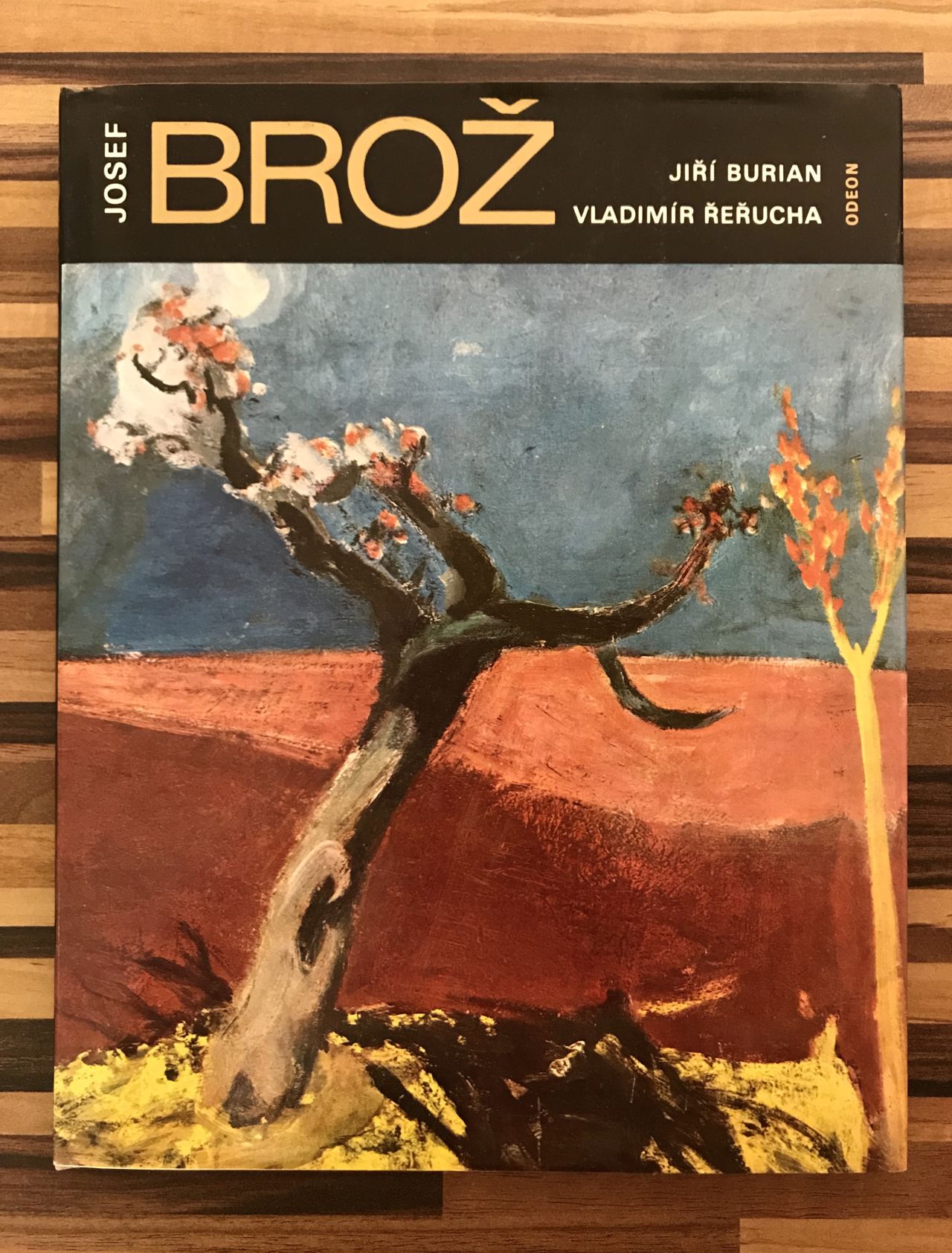 Josef Brož IMG 5426