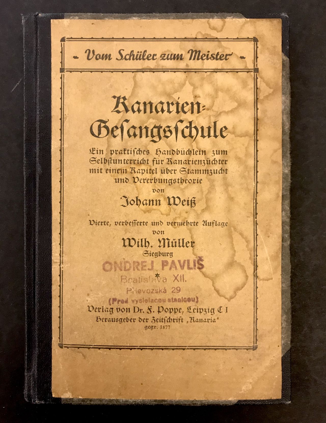 Kanariengesangschule -  vom Schüler zum Meister  IMG 686