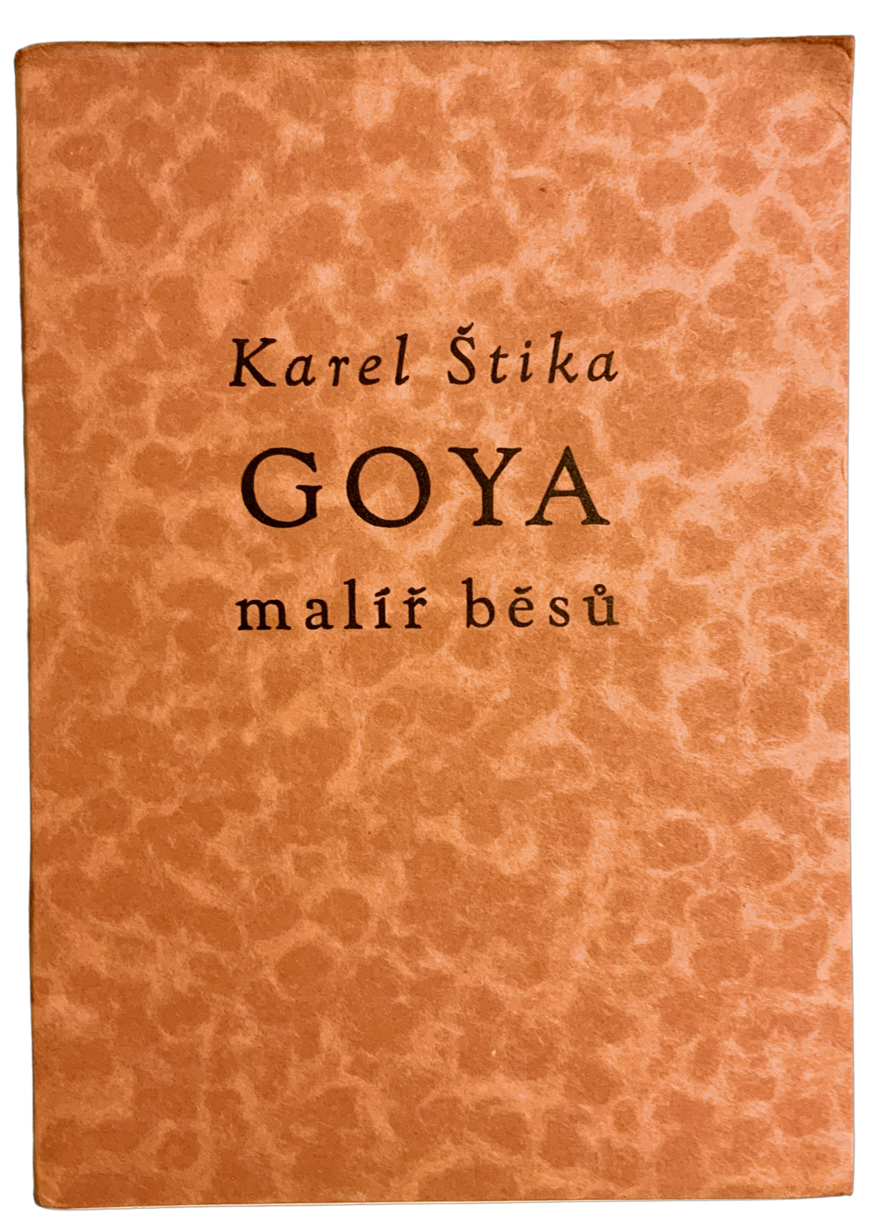 Goya - malíř běsů IMG 6974