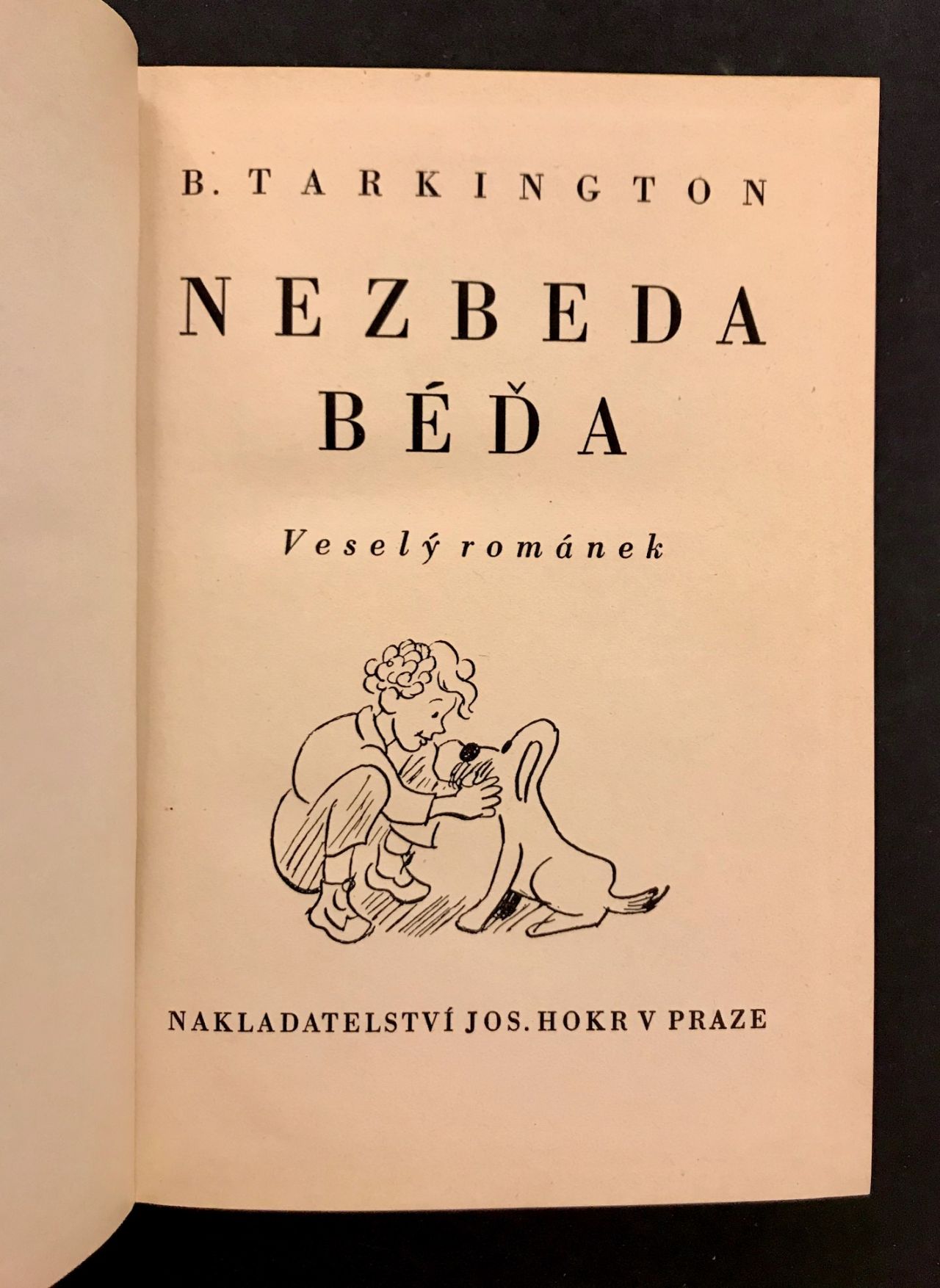 Béďa-Nezbéďa. Veselý románek IMG 7446