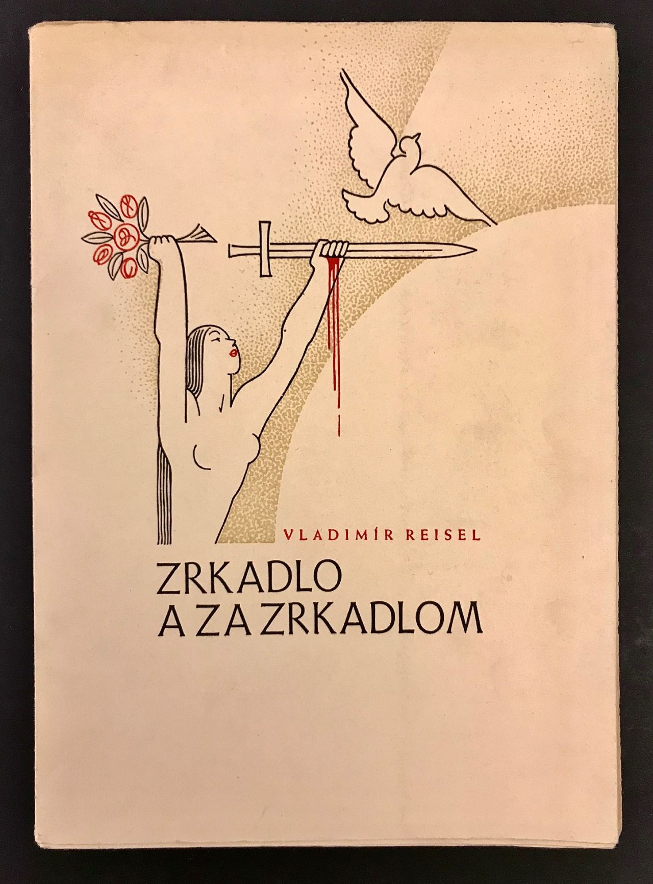 Zrkadlo a za zrkadlom  IMG 7454