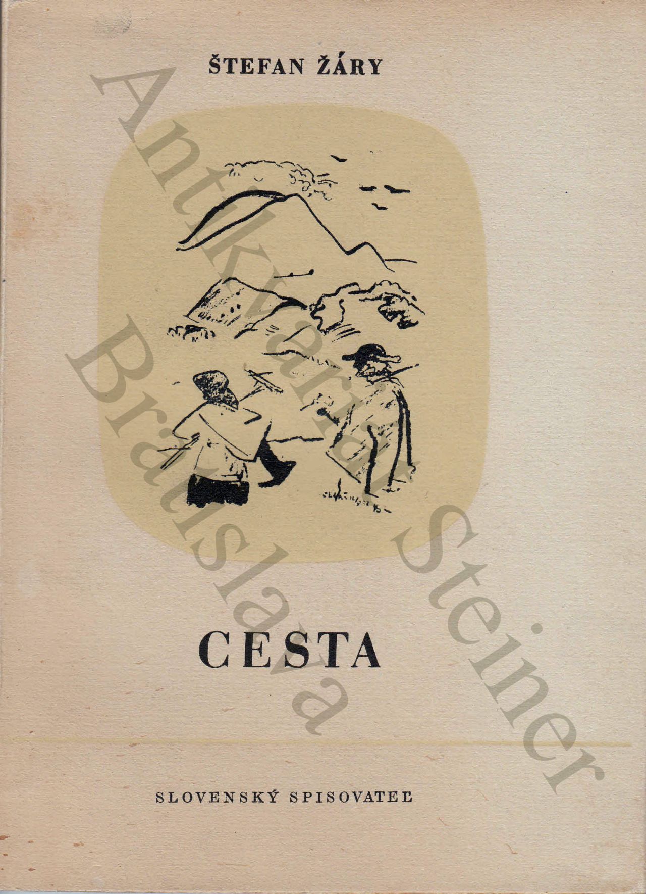 Cesta IMG 915
