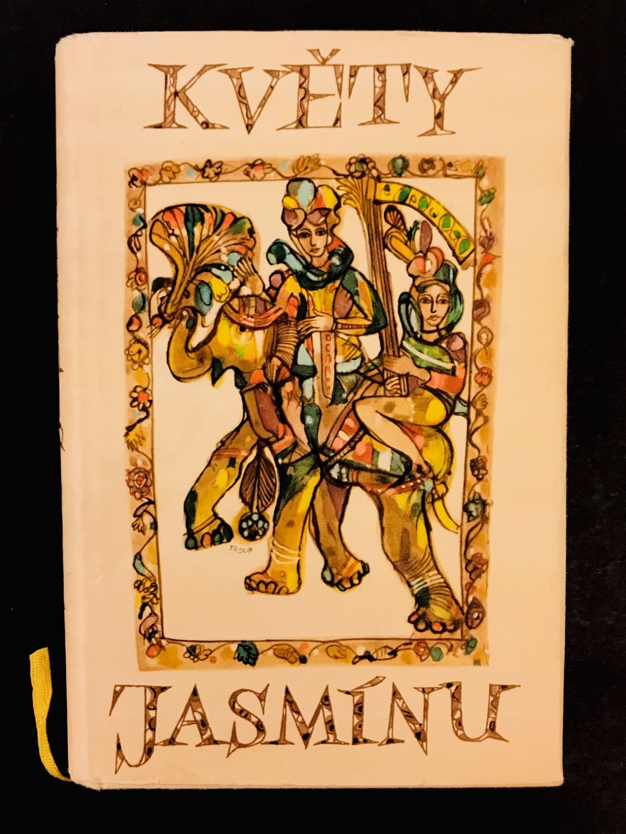 Květy jasmínu IMG 9545